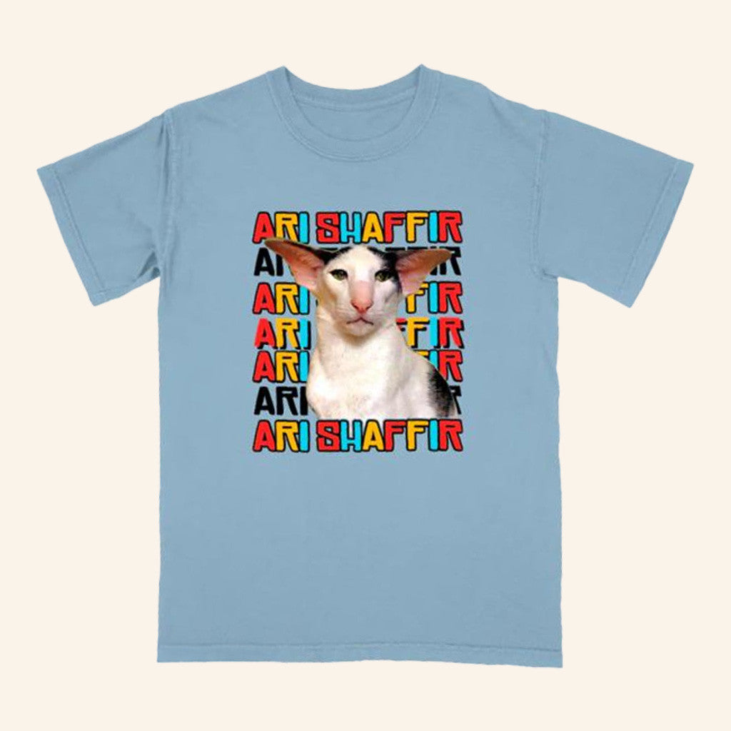 Ari Shaffir Merch Ari Tour Cat T-Shirt Gifts For Best Friends - Roseregae