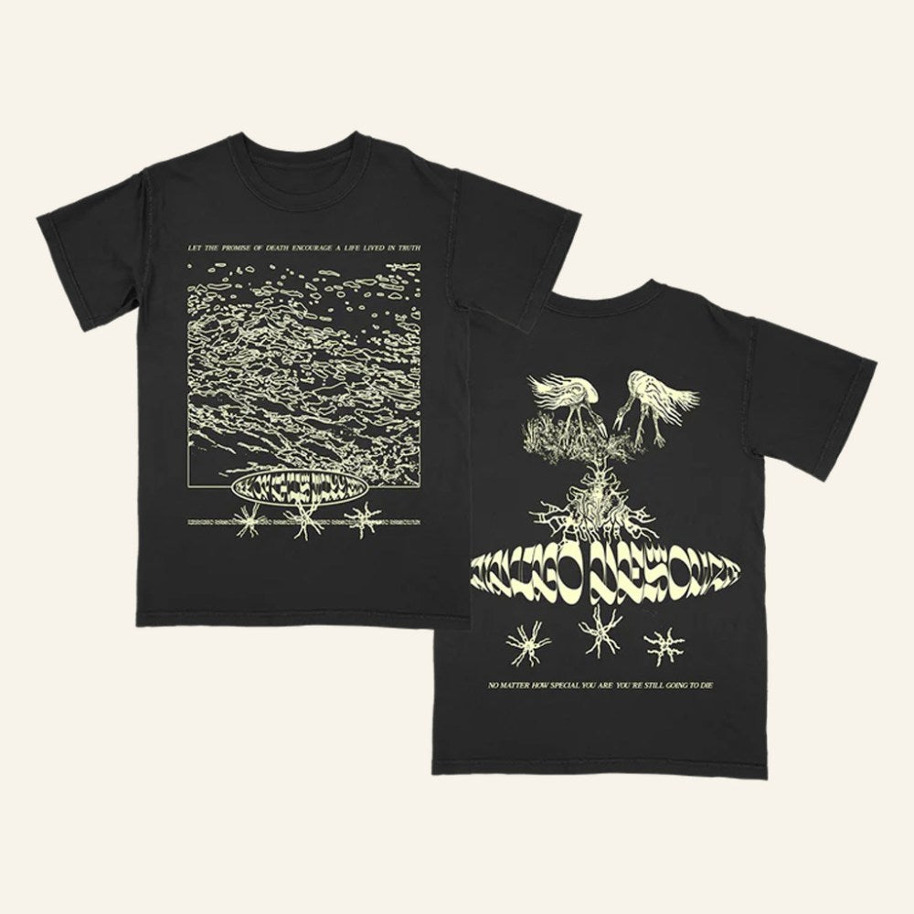 Indigo De Souza Merch Truth Black T-Shirt Christmas Gift Ideas For Boyfriend - Lily Birch Market