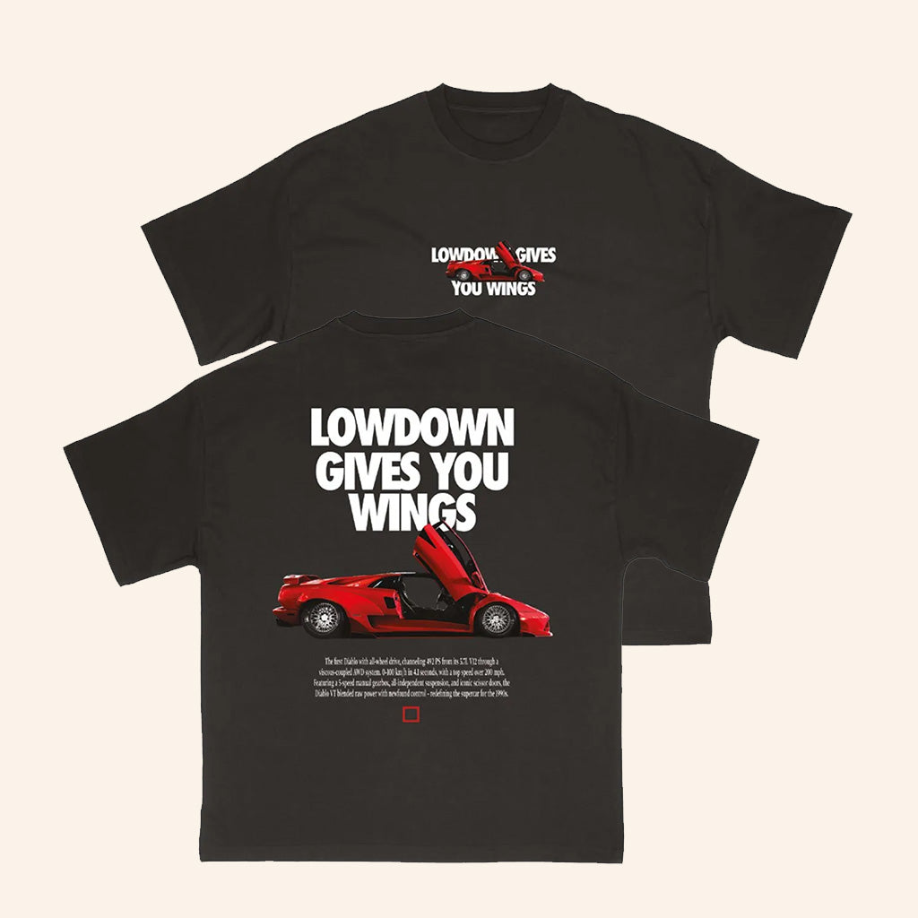 The Lowdown Merch Lowdown Gives You Wings T-Shirt Best Gifts For Friends - Roseregae