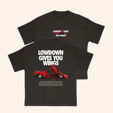 The Lowdown Merch Lowdown Gives You Wings T-Shirt Best Gifts For Friends - Roseregae